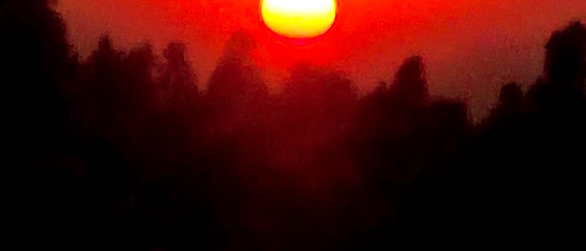 The sun going down behind trees, seen from the terrace.